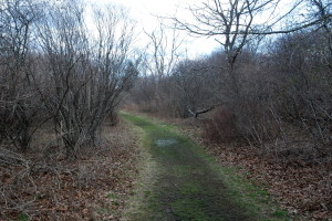 Nature Walks in Rhode Island