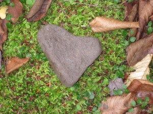 Yoga at A Reiki World in RI