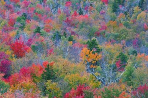 Fall Activities in Rhode Island