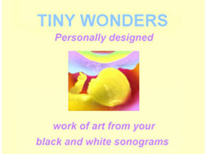 Tiny Wonders in Rhode Island