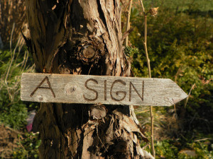 Rhode Island Artisans on Etsy