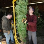 Where to get a Christmas Tree in Rhode Island