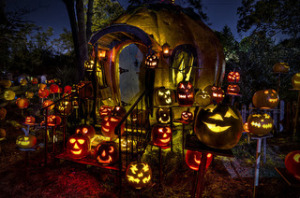 Jack O'Lantern Spectacular 2014