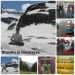 Yoga-Saaram: Ancient Yoga in its Pristine & Purest Form 