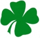 Newport St. Patrick's Day Parade 
