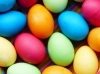  Egg Hunt Safari 
