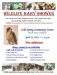 WRARI Annual Wildlife Baby Shower 
