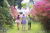  Fairy Tea Party 