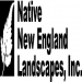 Wild Edible Plant Walk 