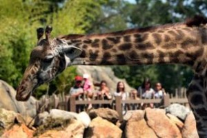 Kid Friendly Activities in Rhode Island